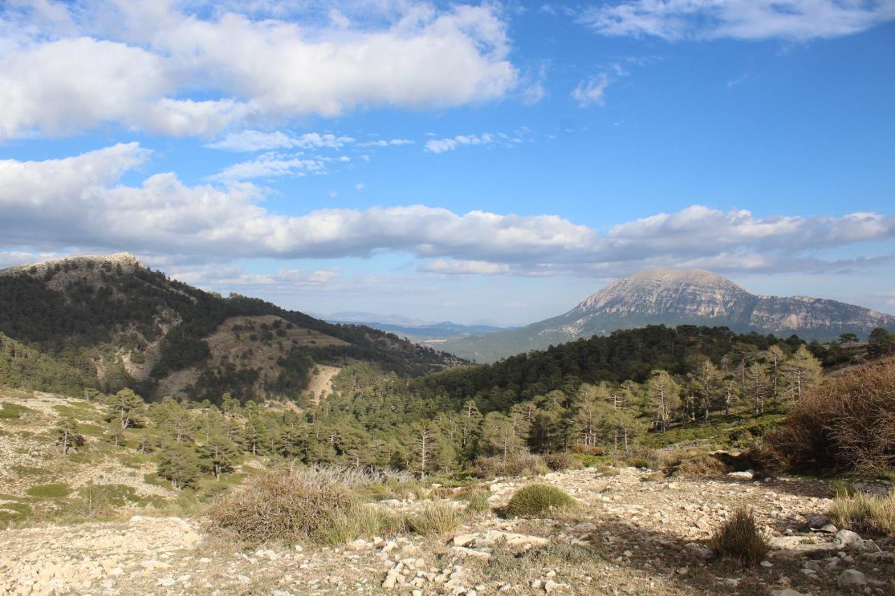 La Noguera Casa Rural Huéscar エクステリア 写真