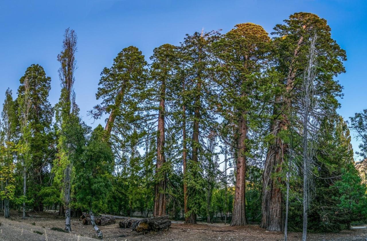 La Noguera Casa Rural Huéscar エクステリア 写真